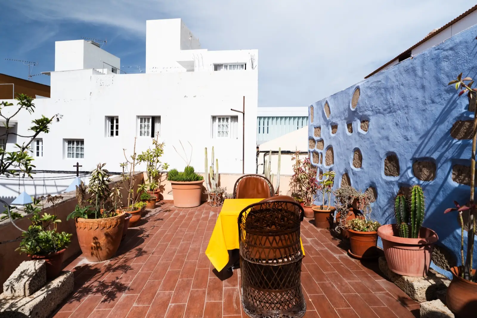 Solárium con suelo de barro, cactus y plantas en macetas, una mesa con sillones de mimbre y una pared azul con piedra vista